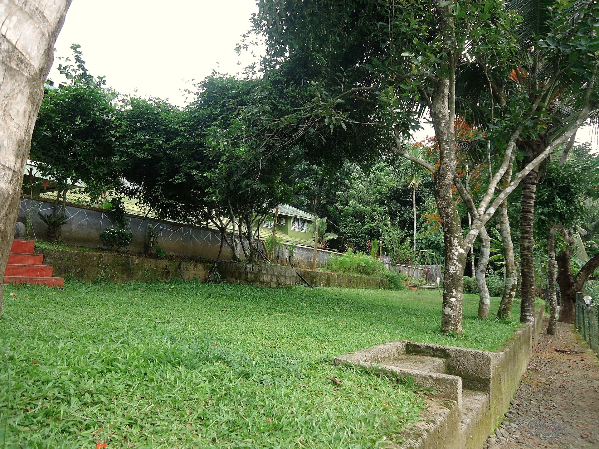 Garden paths at an Ayurvedic retreat surrounded by tropical trees